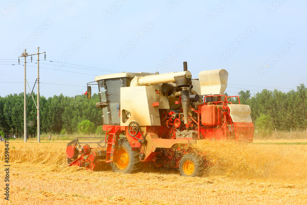 Fototapeta premium combine harvester working on a wheat field