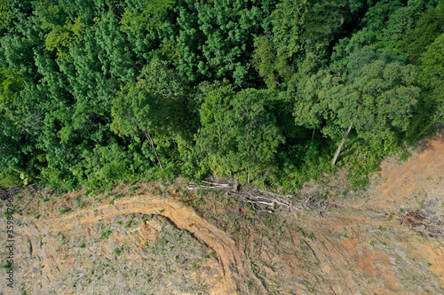 Environmental damage. Deforestation and logging. Aerial photo of forest cut down causing climate change