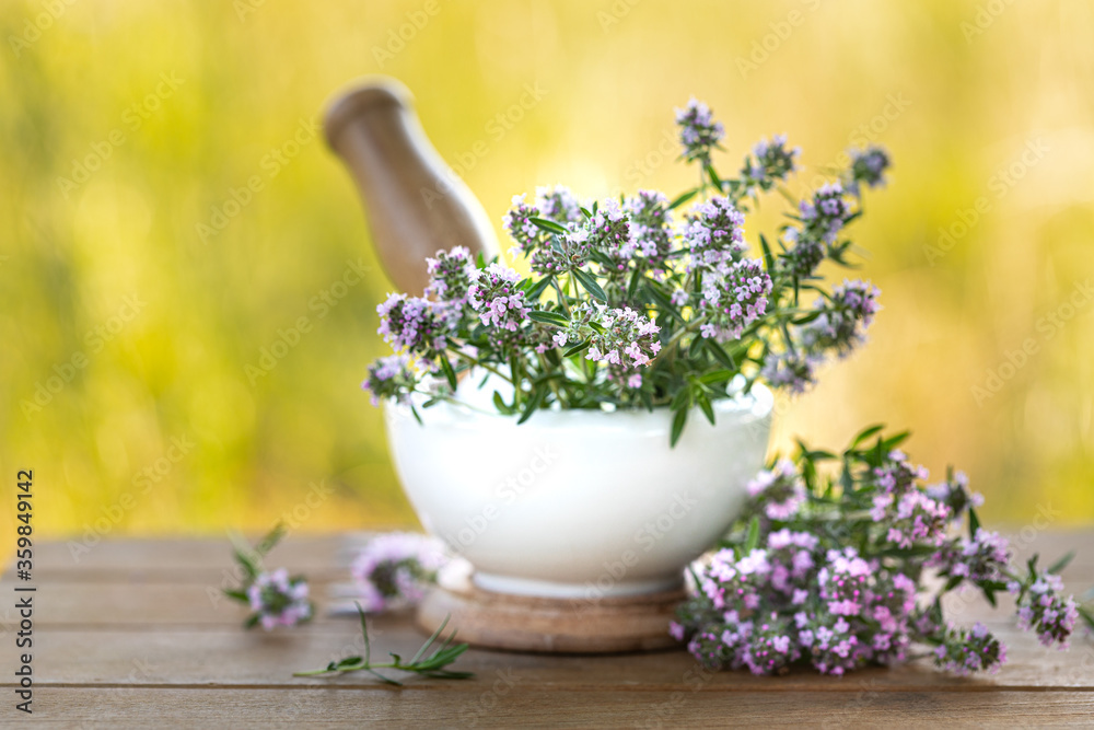 bunch of fresh thyme on a wooden table against the background of nature. Copy space bunch of fresh thyme on a wooden table against the background of nature. Copy space