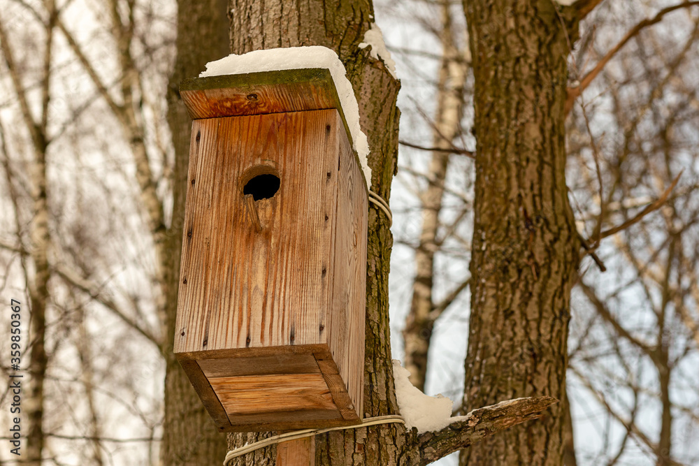 wooden birdhouse old cracked snow-covered vertical photo house for bird protection help