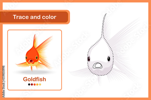 Drawing and vocabulary worksheet, Trace and colour : Goldfish