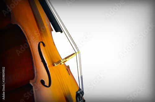 Сello on a white background. Close-up of a classic cello deck on top with c-rib, strings, bridge and f-holes.