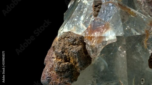 ammonite fossil embedded in stone, real ancient petrified shell. photo