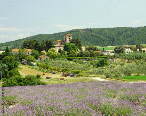 rural landscape in tuscany