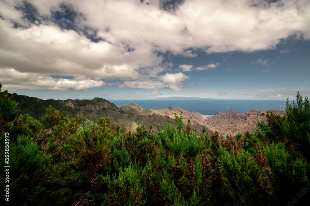 Fototapeta premium Tenerife north 
