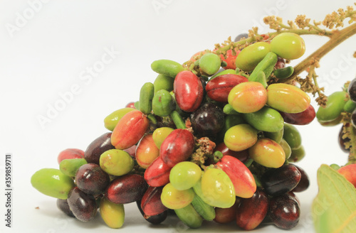 Exotic fruit Syzygium cumini called on white background,Jambolan plum, Java plum, Jambul. photo