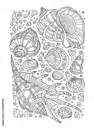 Seashell pattern. Vector illustration. Zentangle. Coloring book page for adult. Hand drawn artwork. Black and white. Bohemian ethnic concept