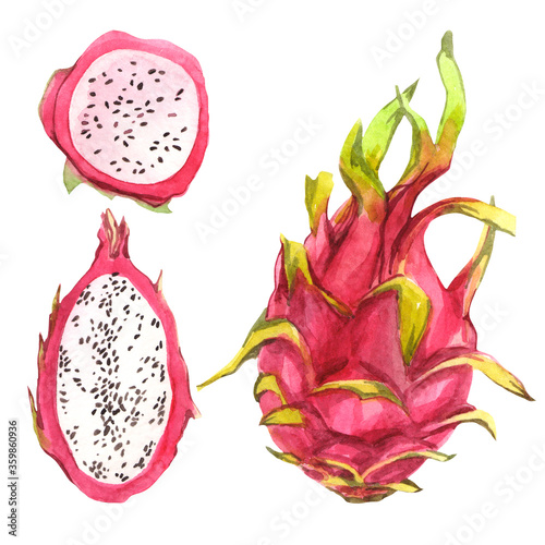 Watercolor set with pitahaya on a white background