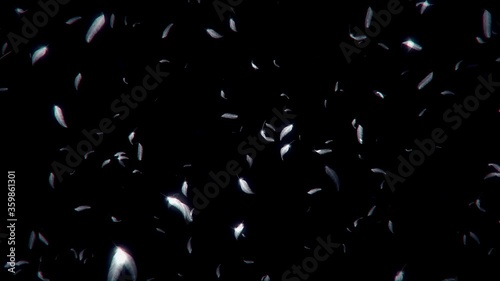 Loop background of flying feathers