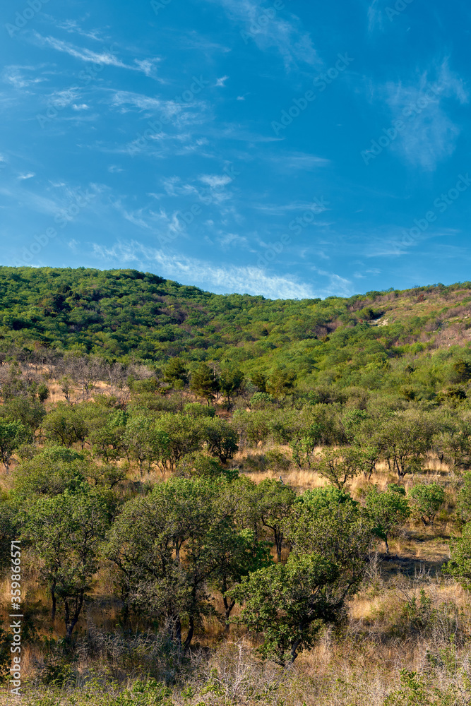 Naklejka premium mountain landscape with blue sky and clouds