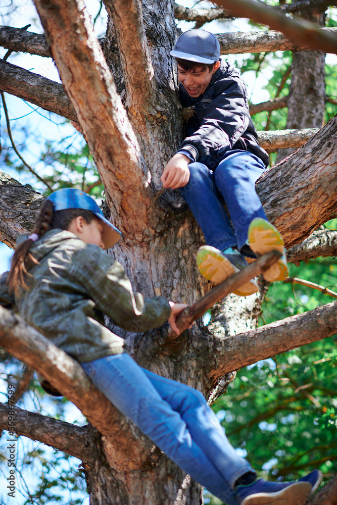 Girl and boy playing outdoor, climbing a tree, bright sunlight, beautiful day