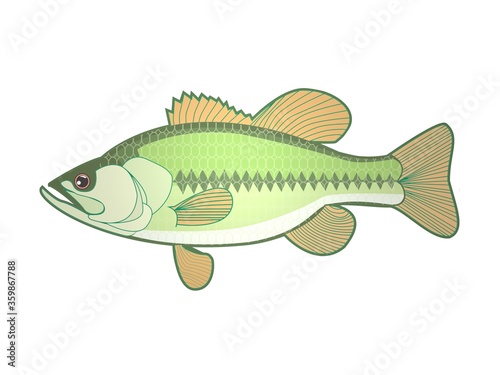 Several fish colors on a white background - 3d rendering