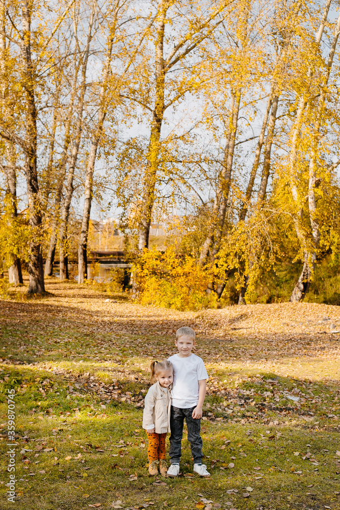 Fototapeta premium Brother and sister are walking in nature. Autumn photo of children. Little girl and boy together among yellow autumn foliage and grass. High quality photo