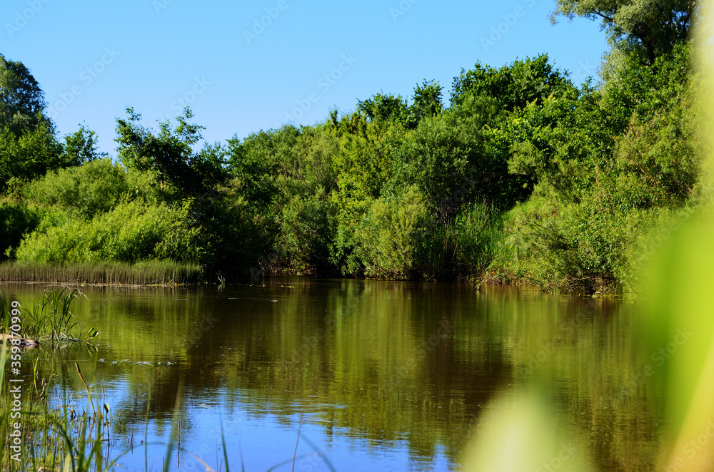river close-up with bushes along the shore on a summer day river close-up with bushes along the shore on a summer day