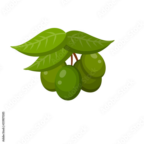 Olive. Green vegetable on branch with leaves. Element of oil and a healthy diet. Cartoon flat illustration isolated on white