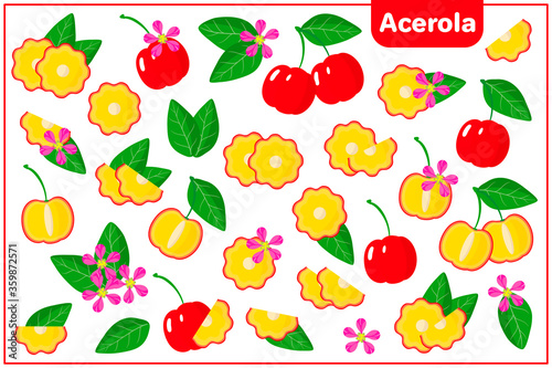 Set of vector cartoon illustrations with Acerola exotic fruits, flowers and leaves isolated on white background