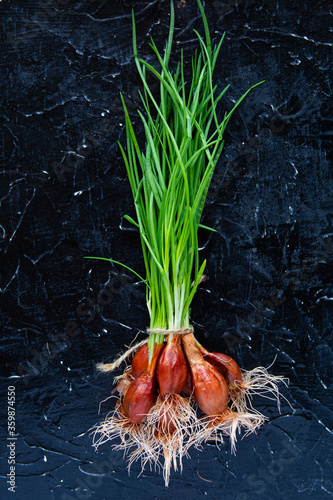 Green onion isolated on the dark concrete background	 photo