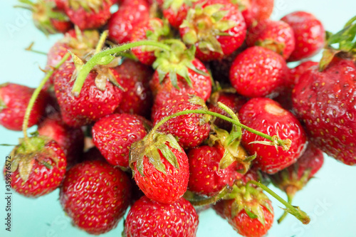 small strawberries from the garden on a blue background close