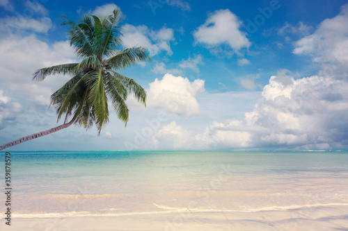 Caribbean sea and green palm tree on white tropical beach.