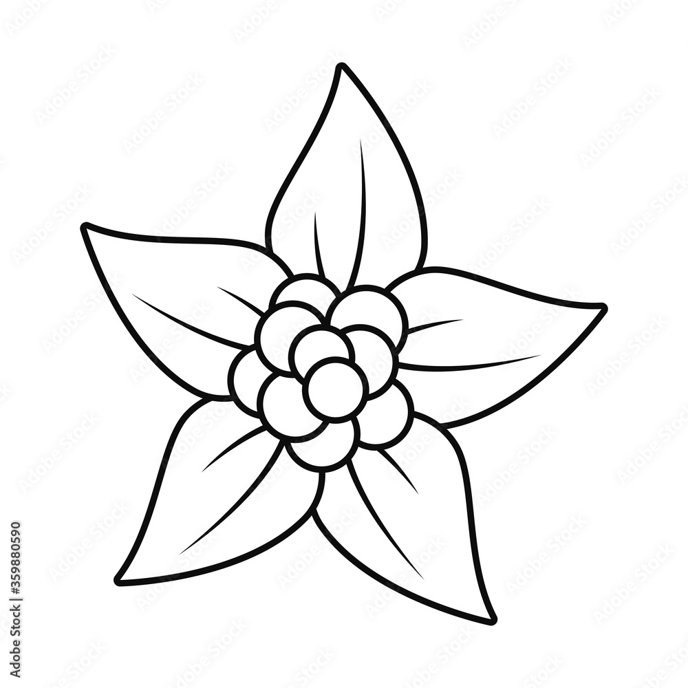 plumeria flower icon, line style