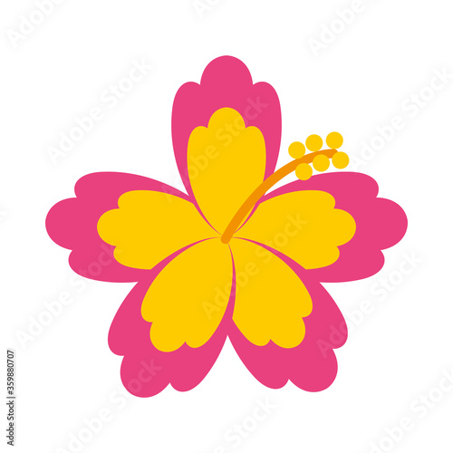hawaiian flower icon, flat style