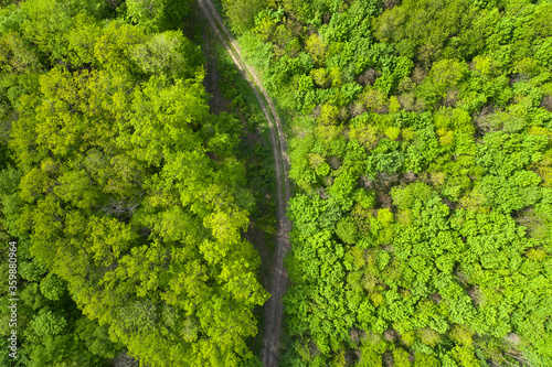 Top view of a dirt forest road. © maykal