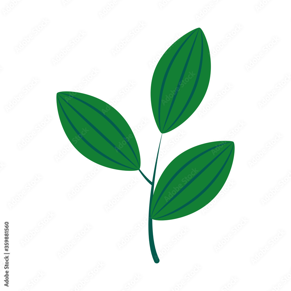 cute branch with leaves icon, flat style