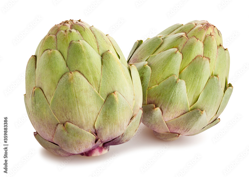 Obraz premium artichoke