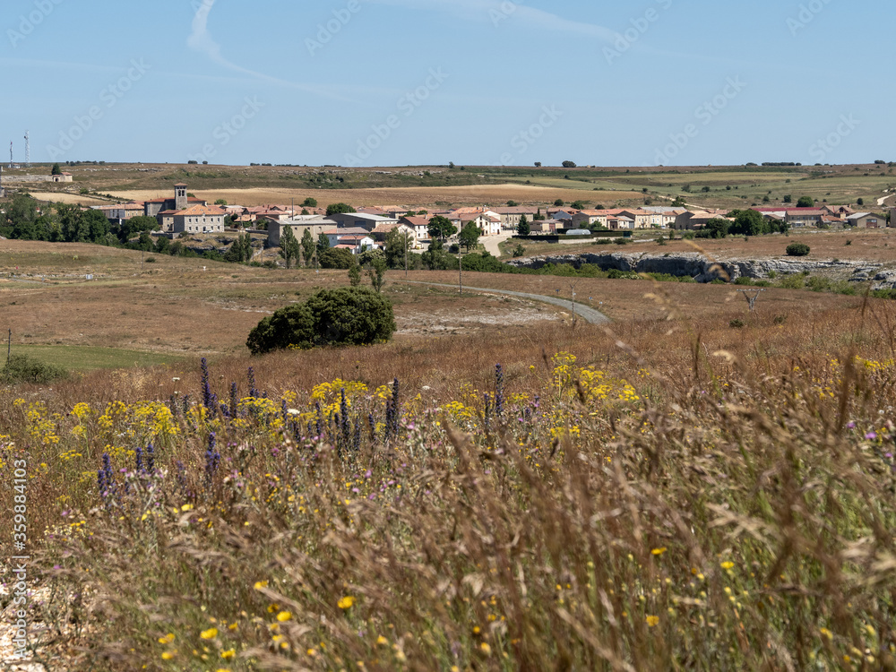 Fototapeta premium petroleum,