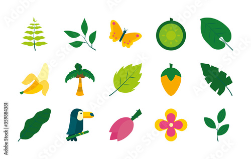 butterfly and tropical leaves icon set, flat style