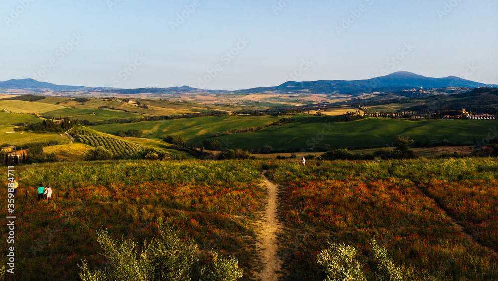 Aerial view of picturesque valley in area of green hills with red poppies. Bird's eye view of breathtaking countryside in countryside. Beautiful scenery view of stunning natural landscape of Tuscany