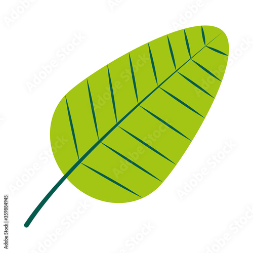 tropical leaf icon, flat style