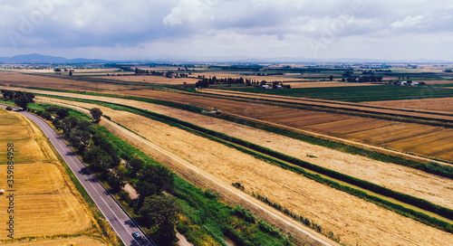 Aerial view of yellow agricultural fields after harvesting. Bird's eye view of picturesque countryside rural area with trees in Tuscany region. Harvested sheaves of hay scattered on field