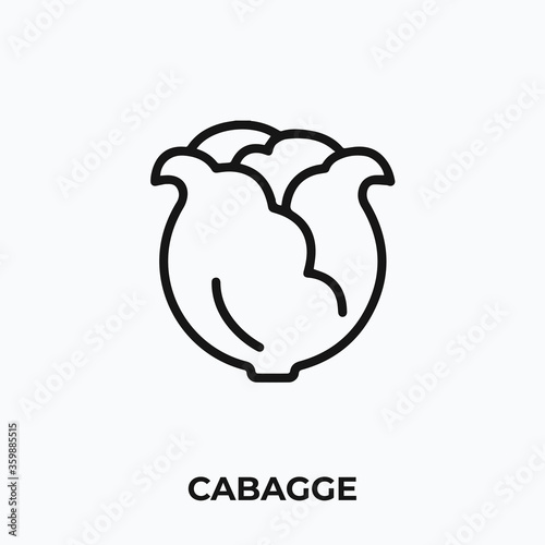cabbage icon vector. cabbage sign symbol