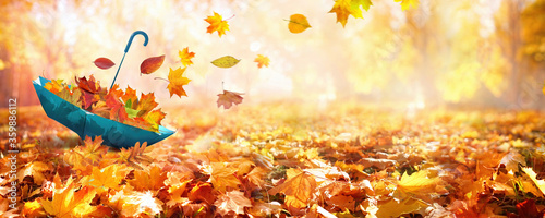 Beautiful autumn background landscape. Carpet of fallen orange autumn leaves in park and blue umbrella. Leaves fly in wind in sunlight. Concept of Golden autumn. photo
