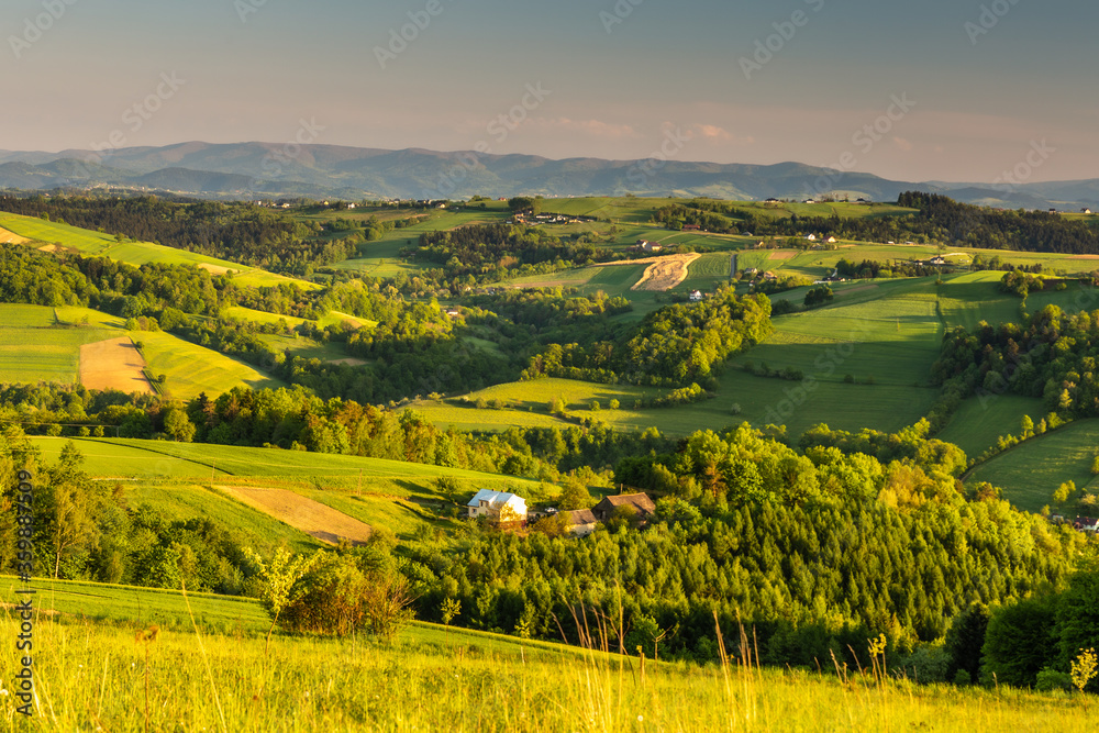 Rożnów Foothills in spring time with green rolling fields