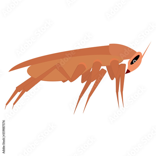 Brown long cockroach. Side view. Template, part for design. Isolated vector illustration on white background.