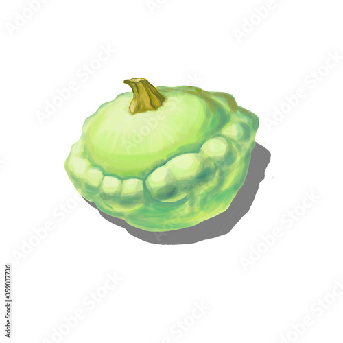 harvest illustration vegetable patison green