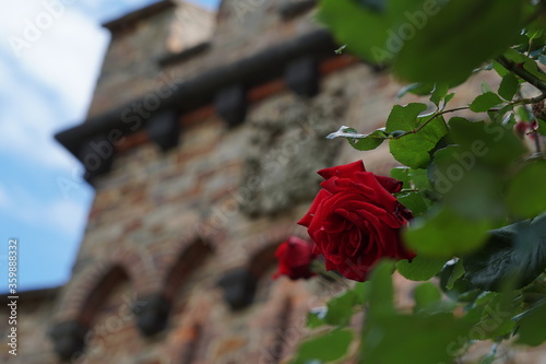 River Rhine Castle Romance 