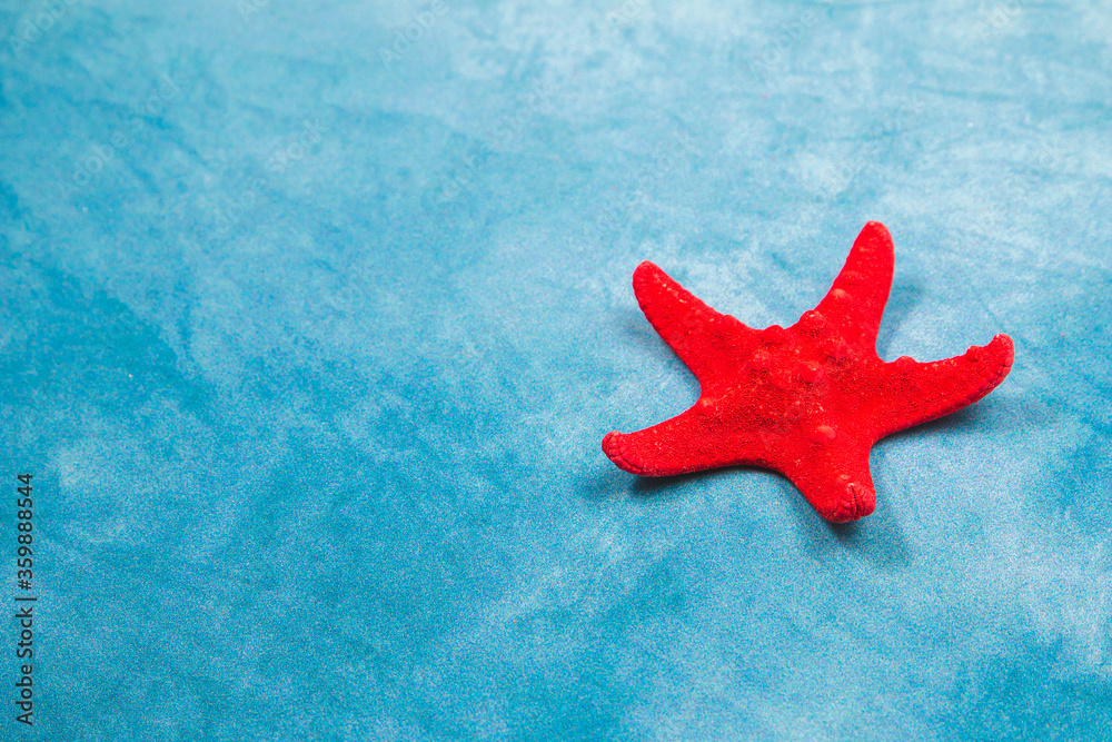 Red starfish on a blue background Red starfish on a blue background