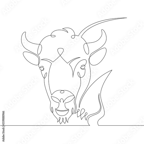 portrait of the head of a wild ox, bison, buffalo,bull