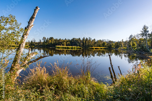 Fototapeta Naklejka Na Ścianę i Meble -  Nature reserve Pfrunger-Burgweiler-Ried in autumn
