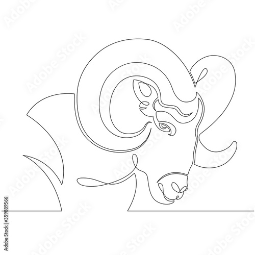 Wild ram head portrait with rounded horns, Aries.