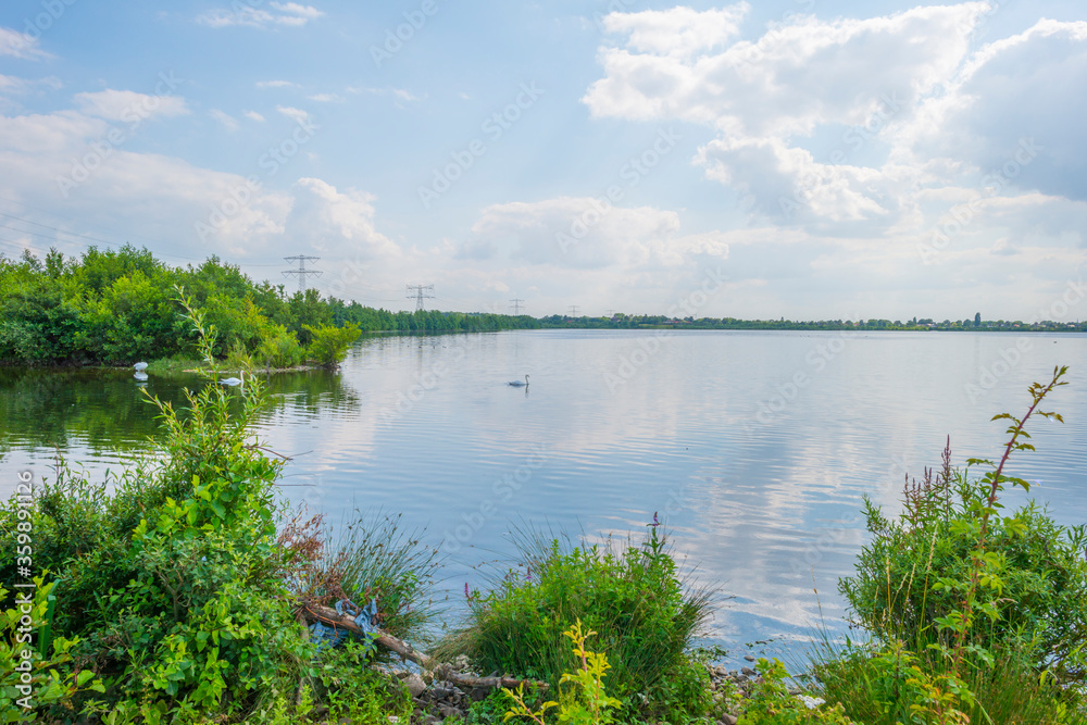 Fototapeta premium Edge of a sunlit lake with small islands with birds breeding reflecting a blue cloudy sky in summer