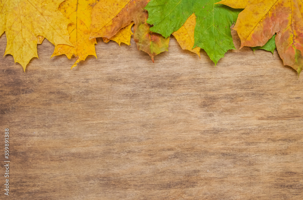 autumn background of fall leaves on the wooden board, top view autumn background of fall leaves on the wooden board, top view