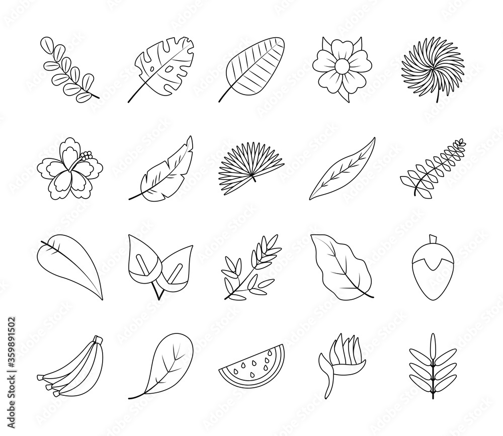 tropical fruist and tropical leaf icon set, line style