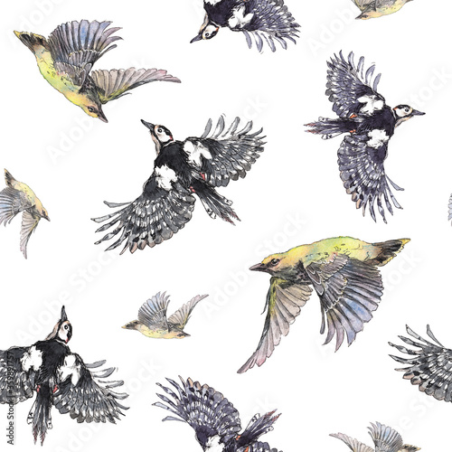 watercolor seamless pattern flying forest birds. woodpecker graphics  robin wings feathers black yellow red spring  pilot in the air. Isolated over white background. 