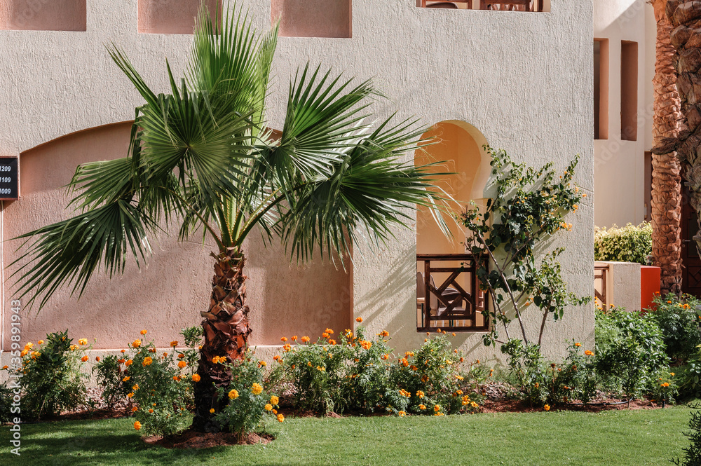 Naklejka premium A modern and luxurious residence - Lifestyle concept. A huge new luxury home