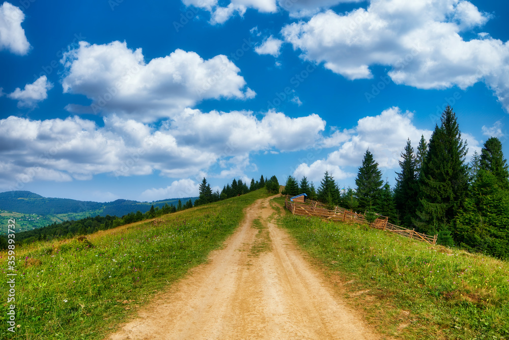 Rural path in mountains nature field summer meadow road