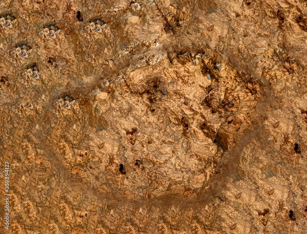 macro Gold ore in the boulder , precious stone macro Gold ore in the boulder , precious stone